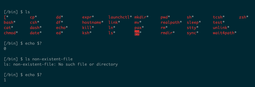 How Linux Exit Codes Help You Write Robust Scripts