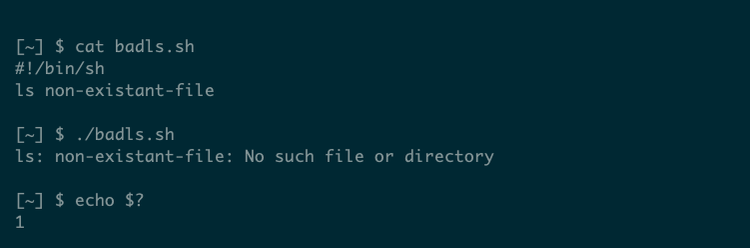 A shell script returning its last command's exit code.