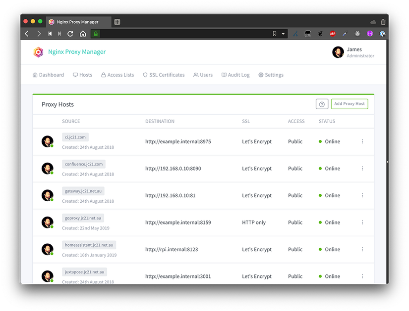 The Nginx Proxy Manager proxy hosts screen showing domains in use by the reverse proxy.