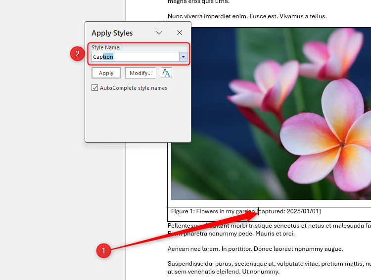 Css Photo Word My Secret Method for Dealing With Pictures in Microsoft Word