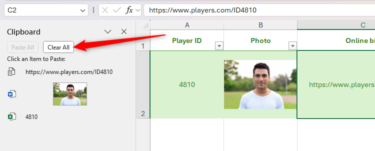 The Clear All button in Excel's Clipboard pane is selected.