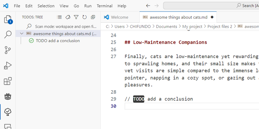 A TODO comment in VS Code with TODO Tree showing it in the navigation pane.
