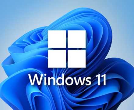 An image showing Windows 11 logo.