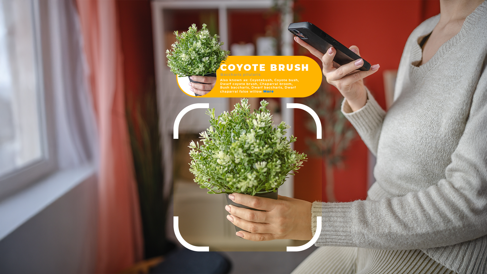 Unlock Your Green Thumb: Android's Hidden Gardening Gems