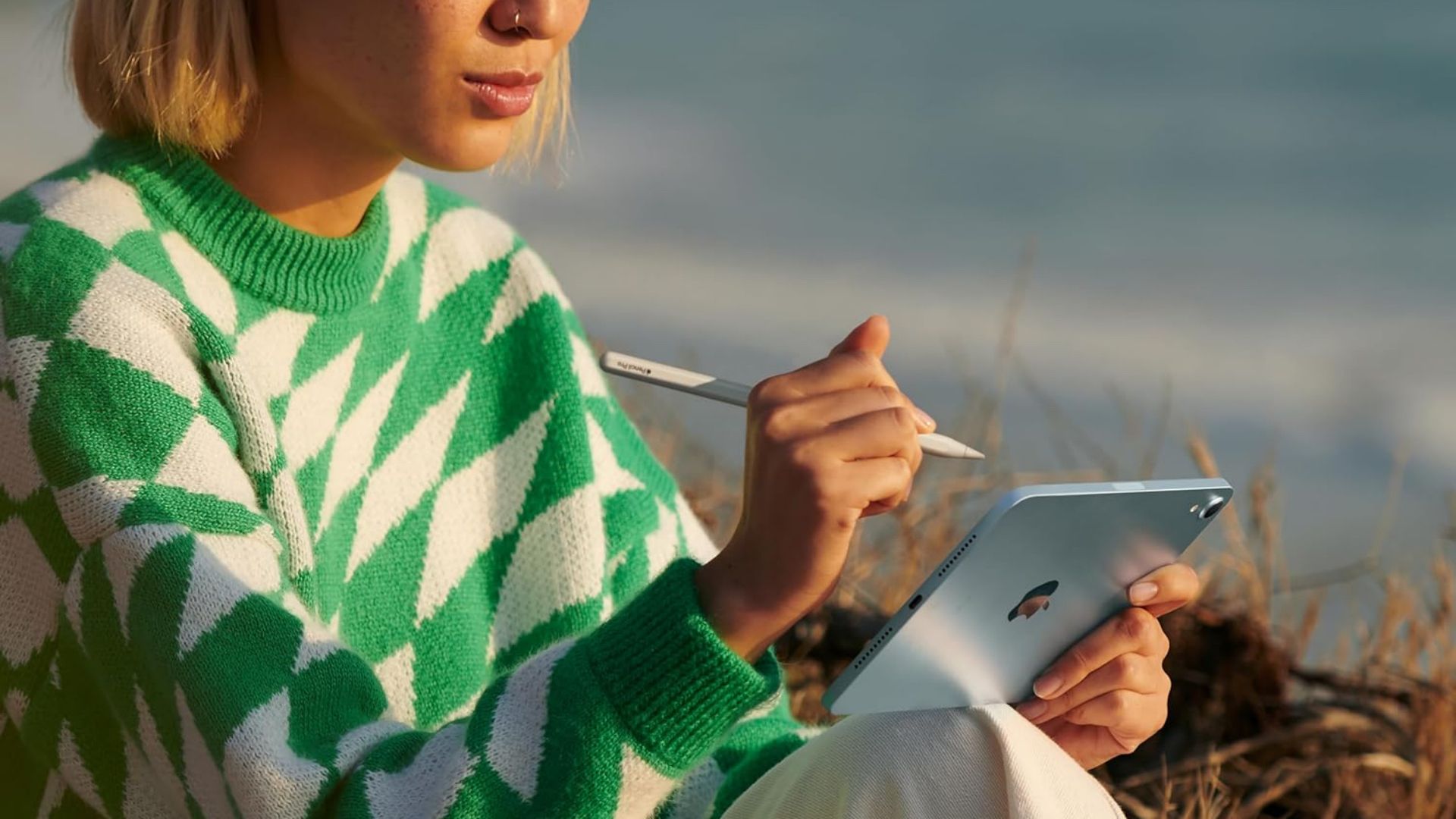 apple ipad mini 7