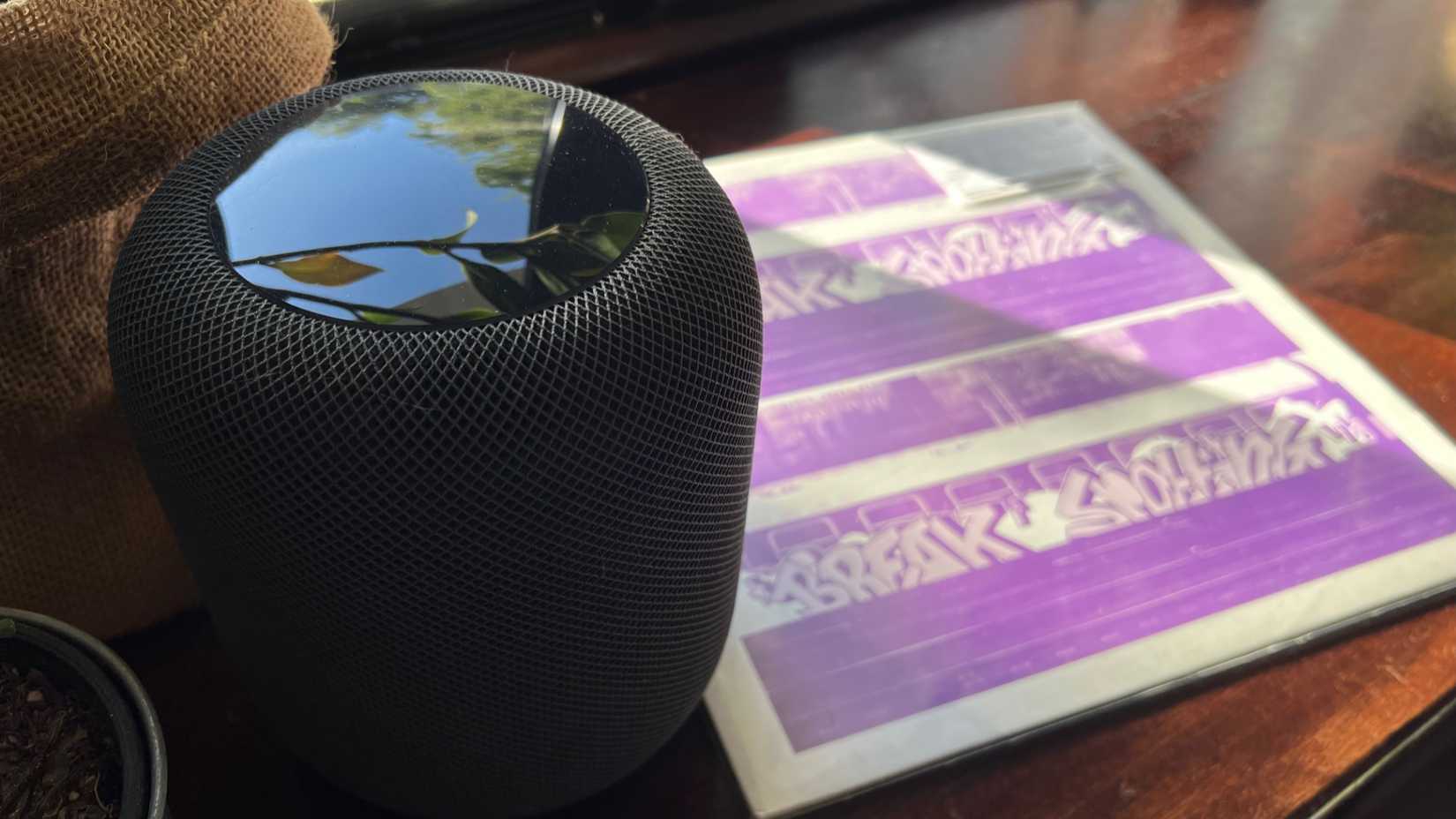 HomePod with a vinyl record.