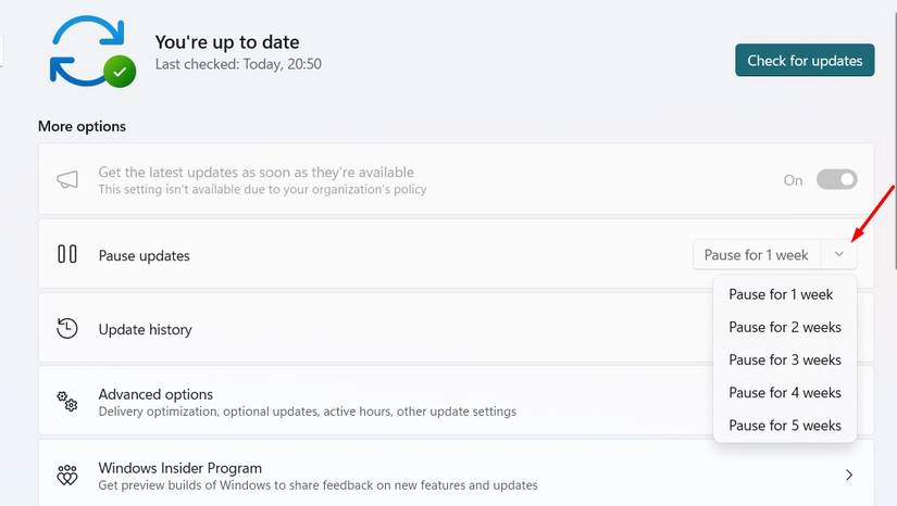 Possa as atualizações no aplicativo Configurações no Windows.