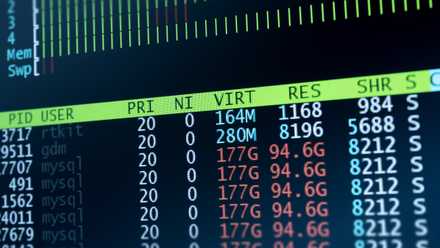 Server data on a monitor with Database MySQL.