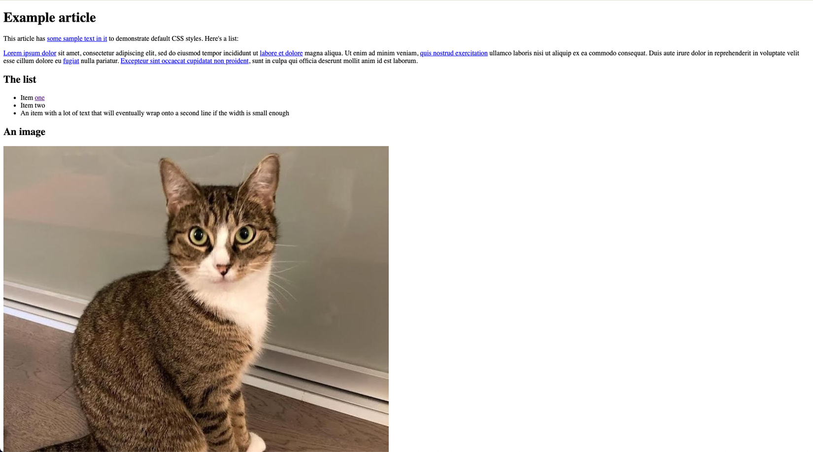 A sample HTML file displaying in a browser with default styles.