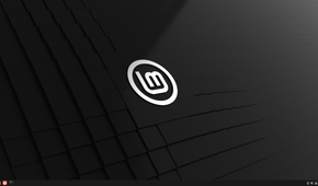 A screenshot showing Linux Mint Cinammon desktop.