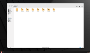 A screenshot showing Linux Mint Cinammon file manager.