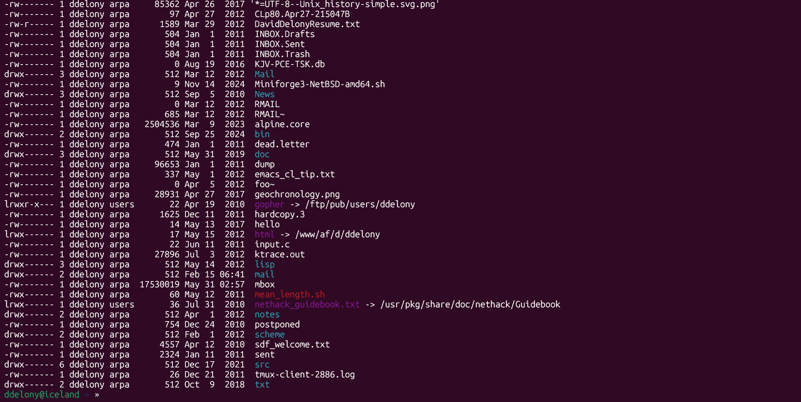 Сессия подключения к удалённому серверу по SSH в терминале Linux.