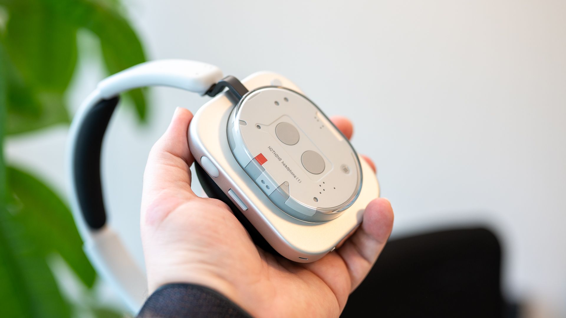 person-holing-the-nothing-