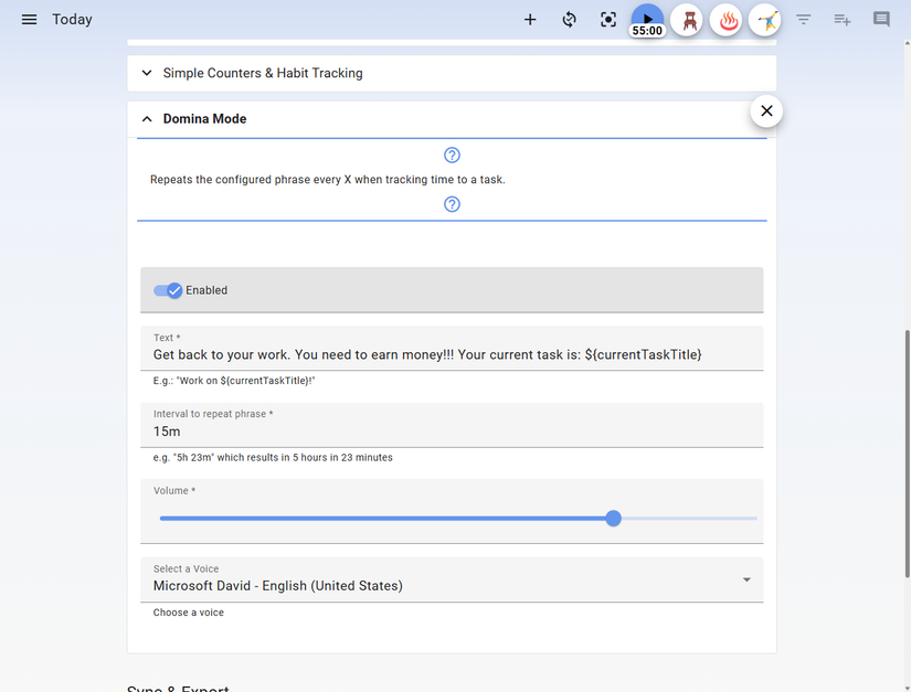 Super Productivity Domina Mode settings.