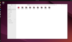 A screenshot showing Ubuntu file manager.