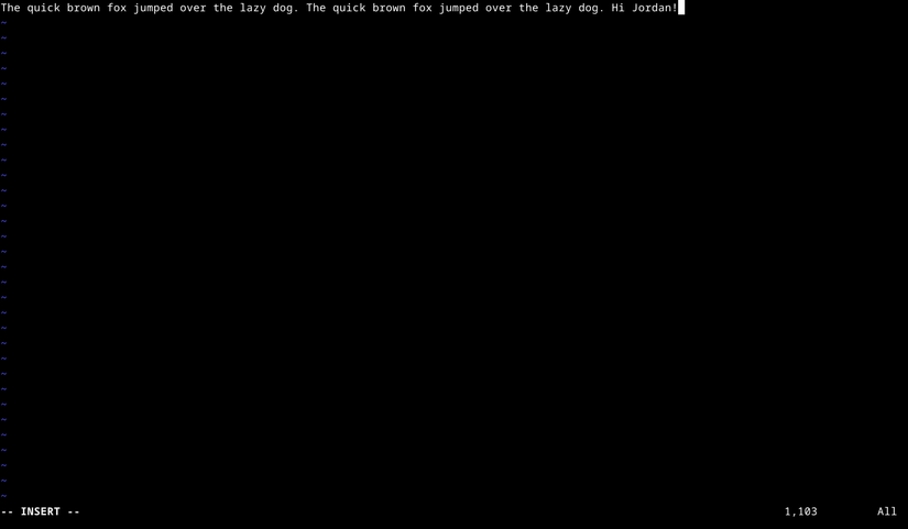 Editing a text file in Vim in the Linux terminal.