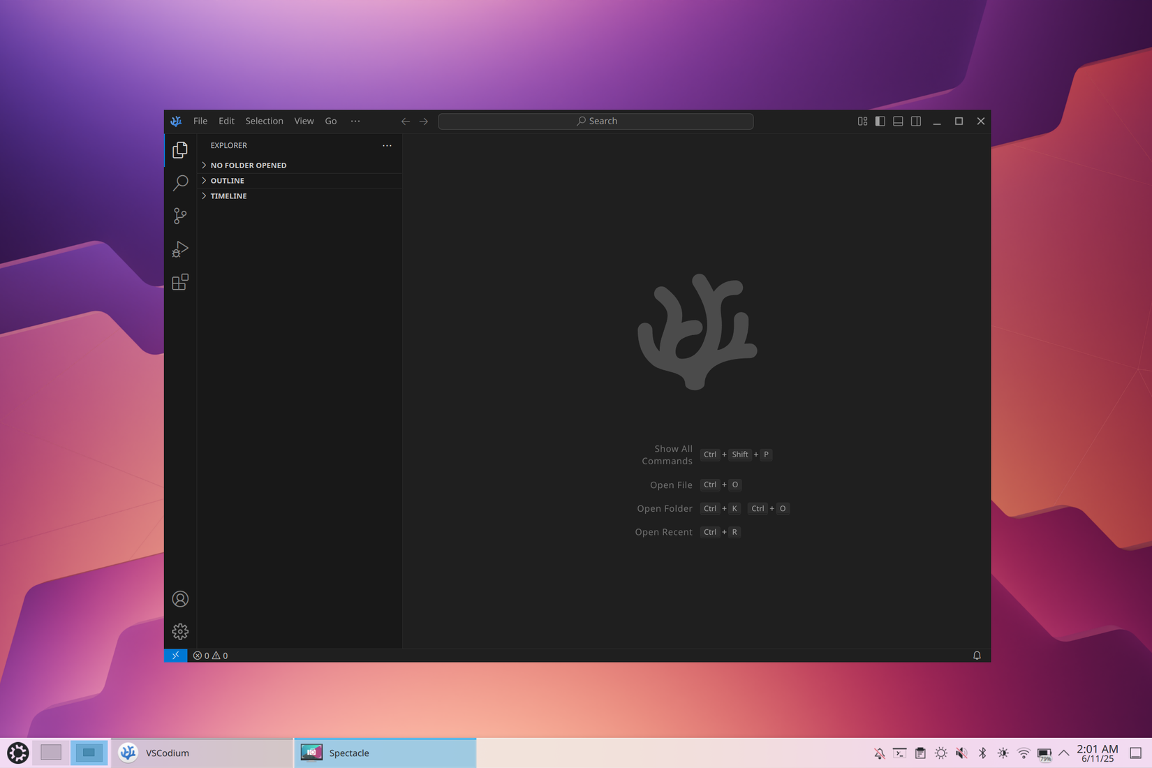 The main VSCodium interface. 