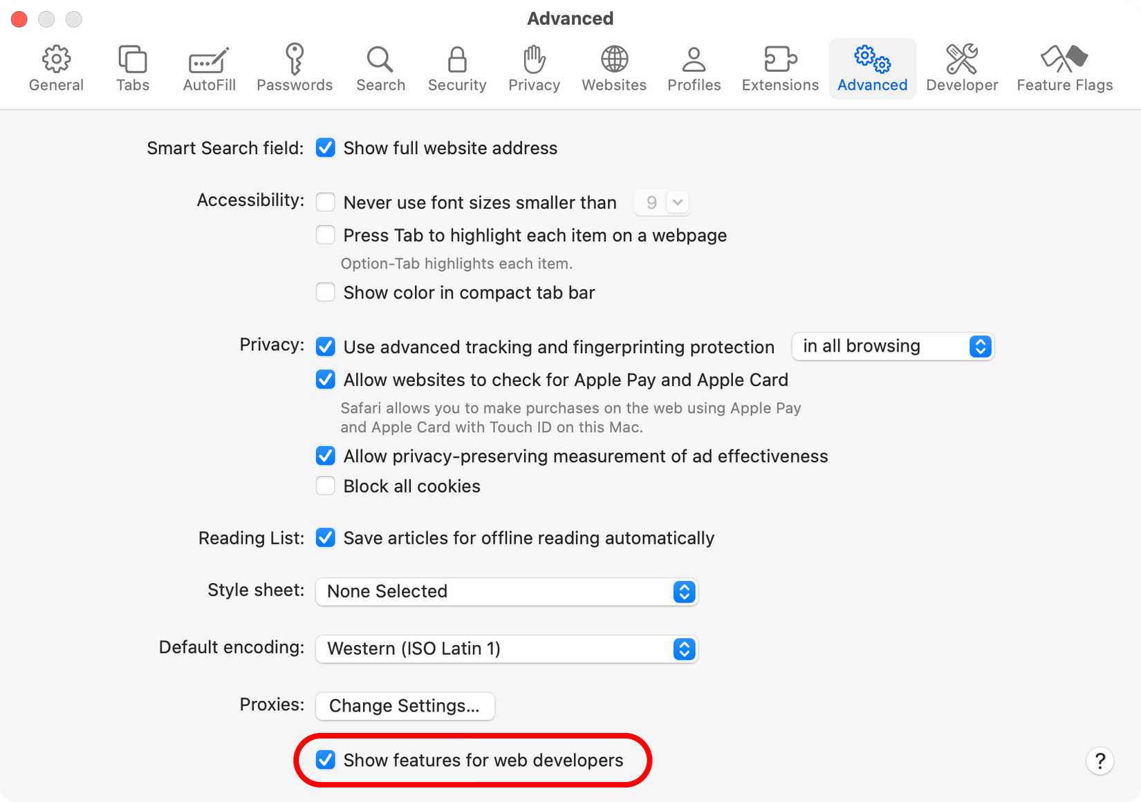 Configurações do Safari com a opção de mostrar recursos para desenvolvedores web ativada.