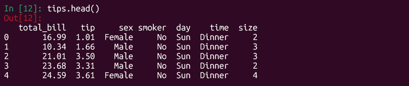 Examining tips data using "tips.head()" in Python.