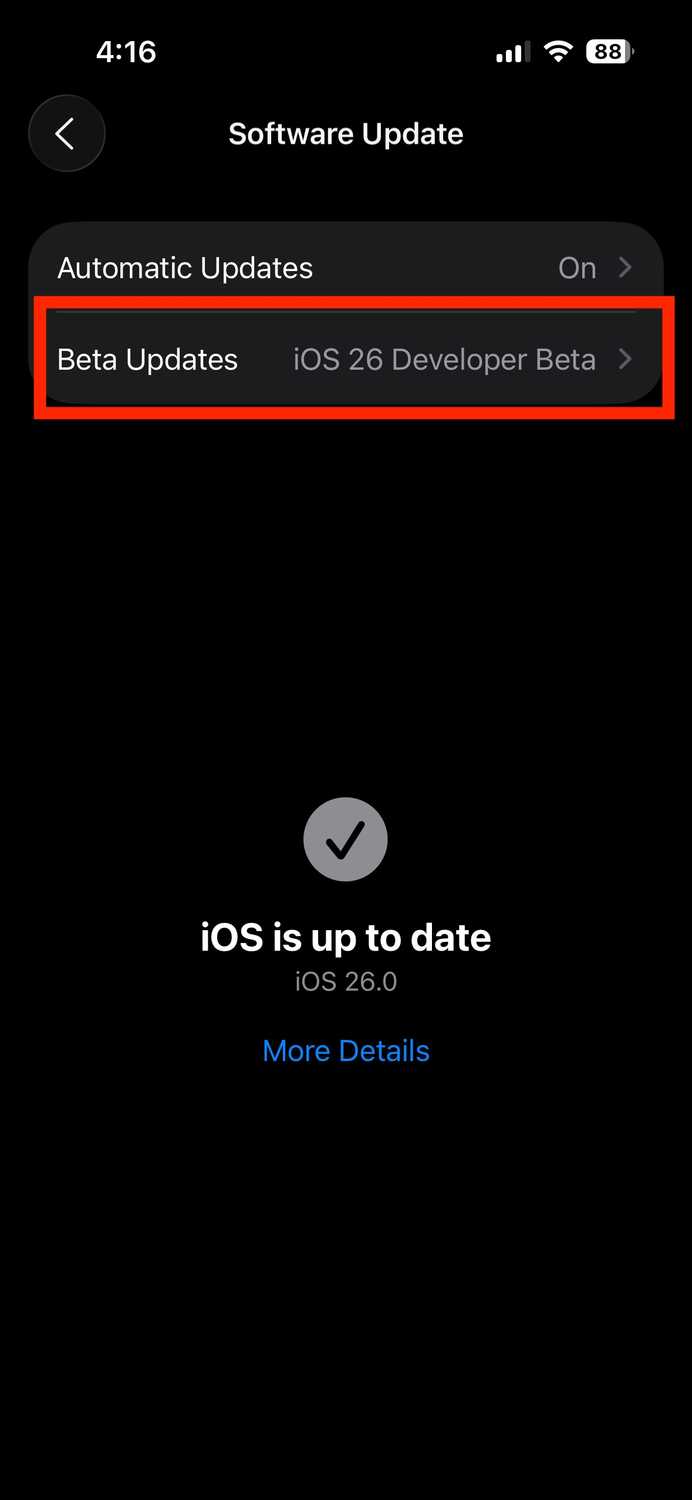 Beta Updates Should You Install the Developer Beta on Your iPhone?
