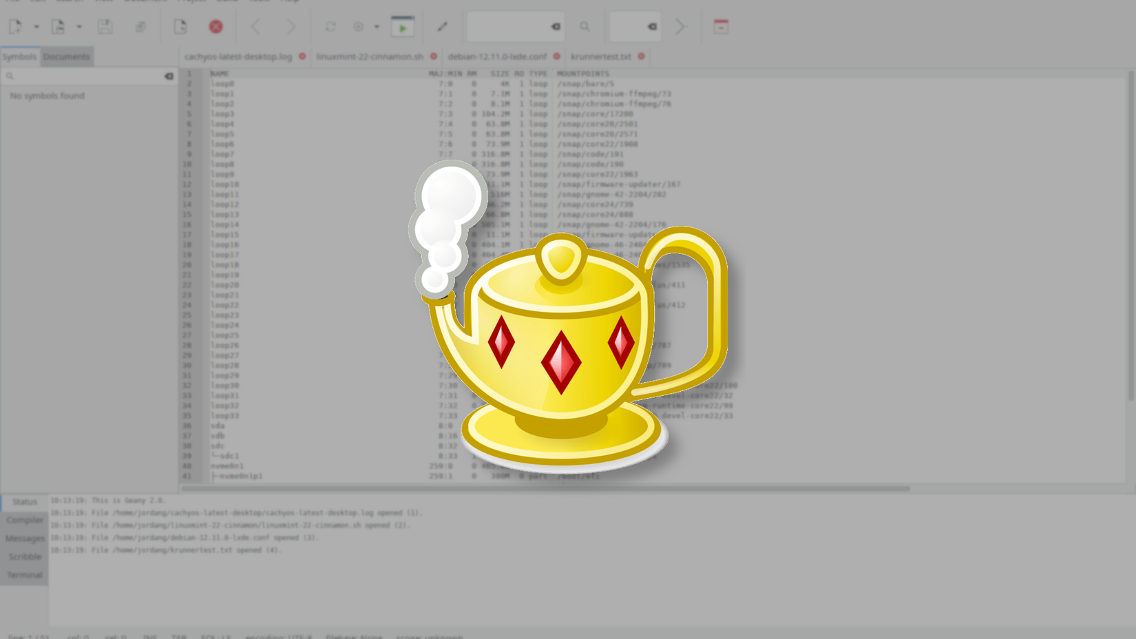 The Geany logo on a Geany IDE window.