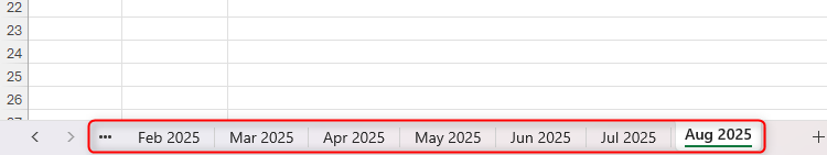 Various worksheet tabs in Excel named Feb 2025 to Aug 2025.