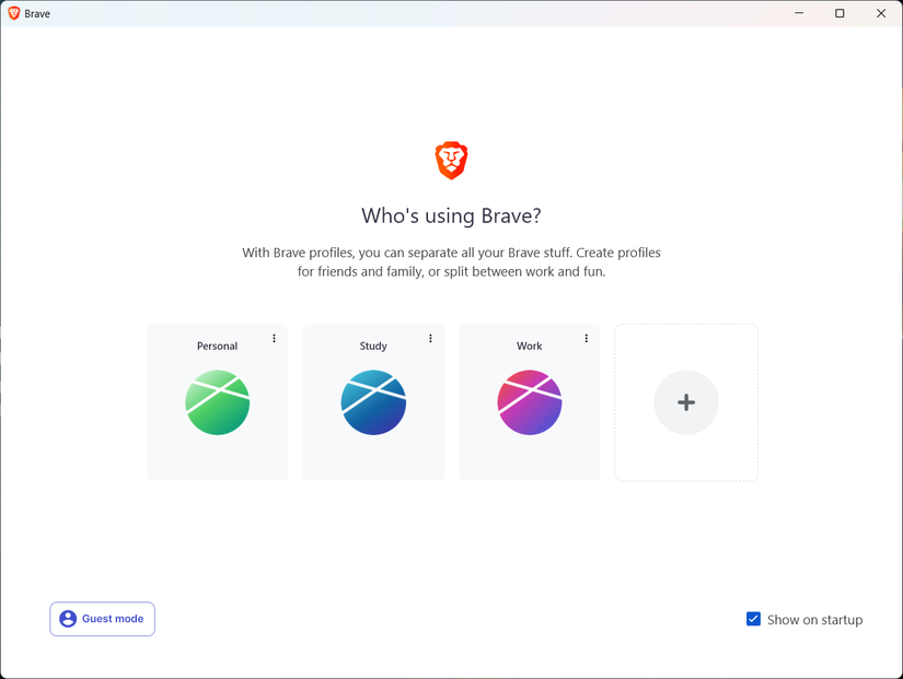 Captura de tela de perfis corajosos na startup.