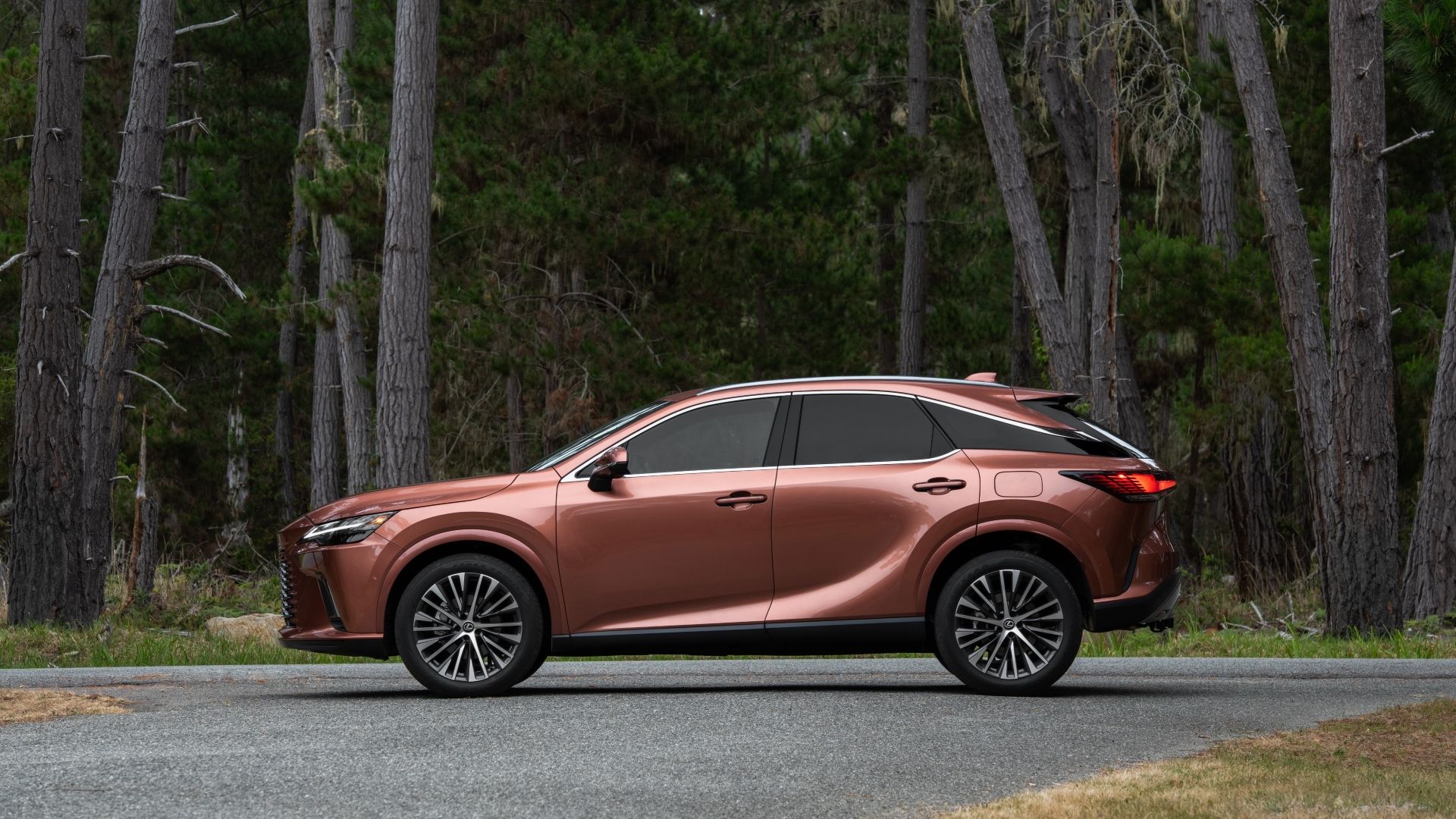 10 Reasons Why This Japanese Luxury SUV Outlasts the Competition Without Breaking the Bank