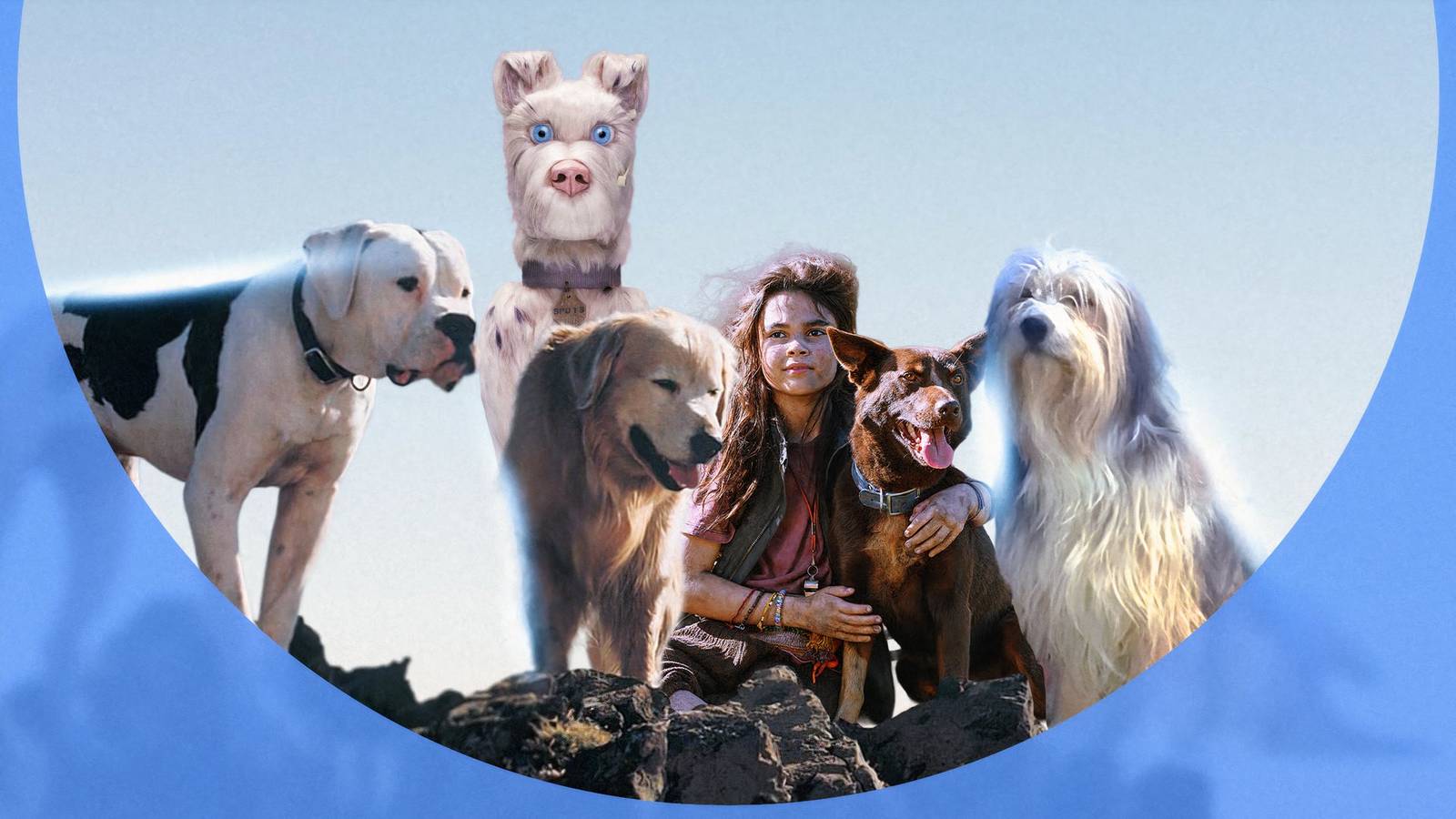 Dogs In Films Does the Dog Die? 10 Films Where the Dog Lives