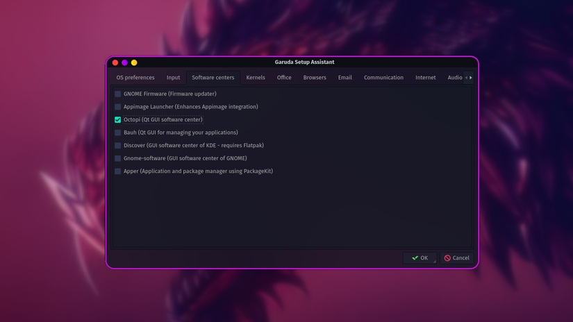 Choosing preferred software center using the Garuda Setup Assistant.