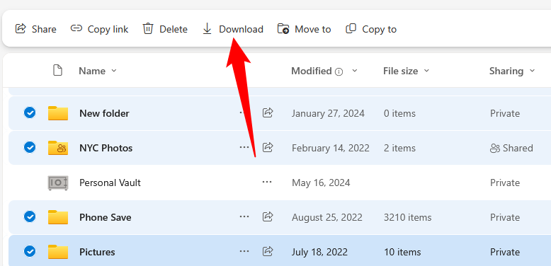 Click "Download" once Personal Vault is deselected.