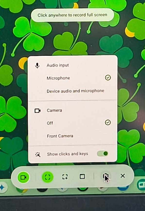 Settings options when starting a recording using the Chromebook Screencast app.