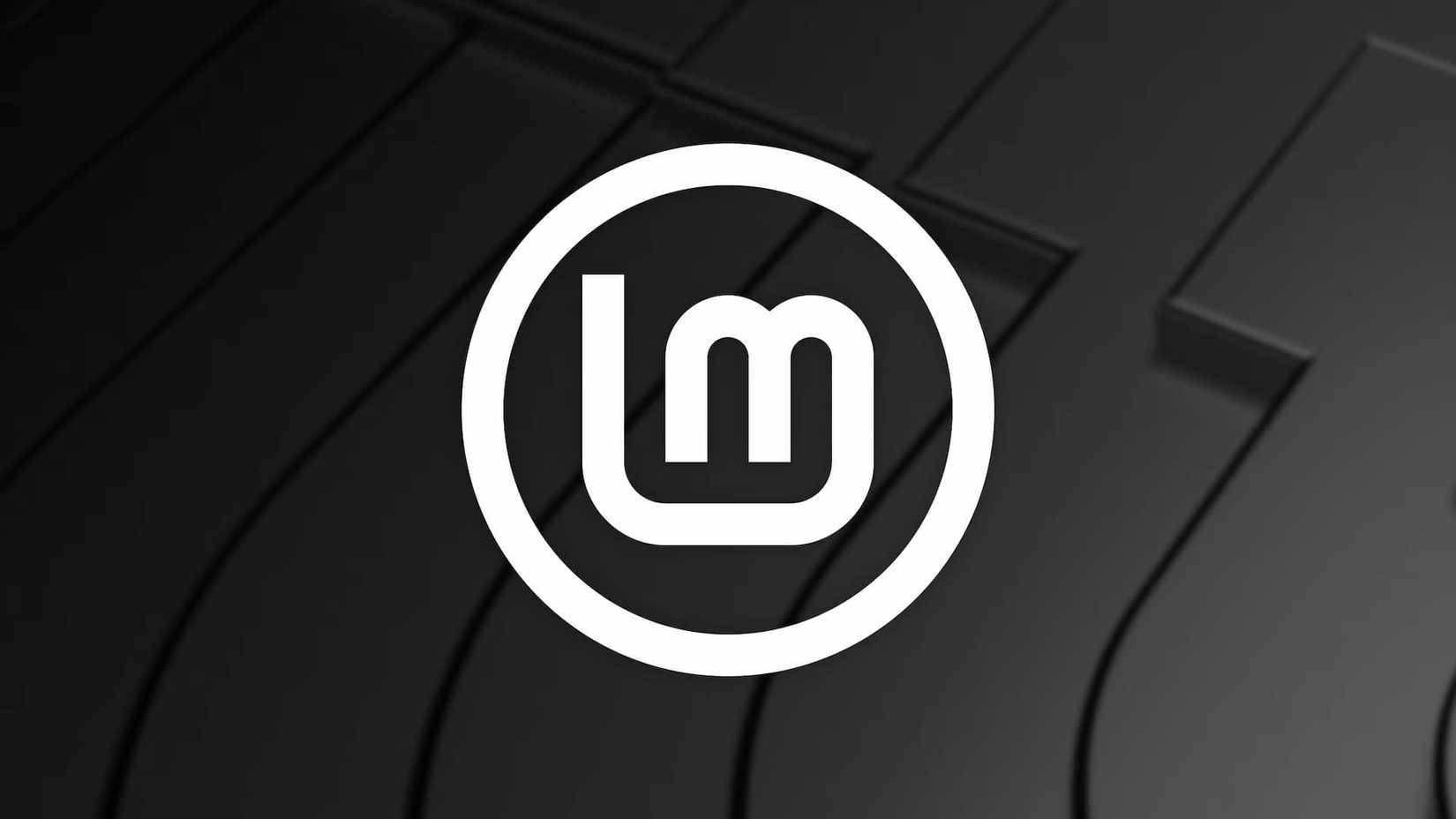 Linux Mint Logo on a default background.
