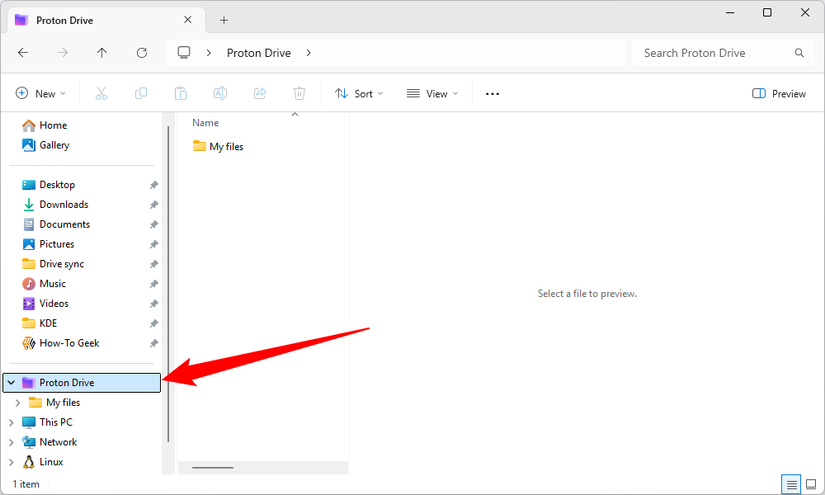 Proton Drive visible in File Explorer.