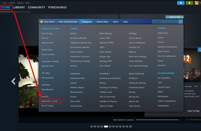 Categorias de lojas a vapor mostrando a página de jogos do Linux.