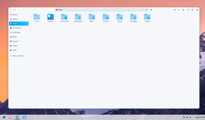 Zorin-OS-file-manager