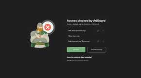 A page called example being blocked by AdGuard, and the user has the option to proceed anyway