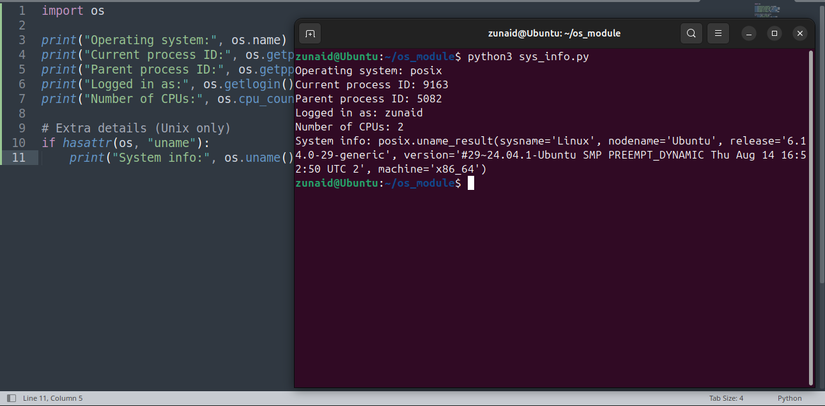 A Python code snippet with the os module for getting the sytem info.