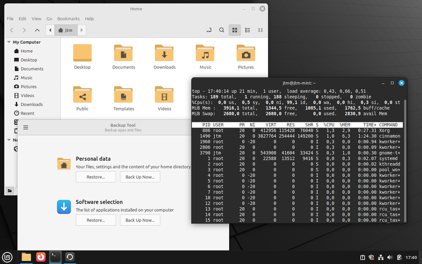 Cinnamon desktop shows an example of application applications on the desktop.