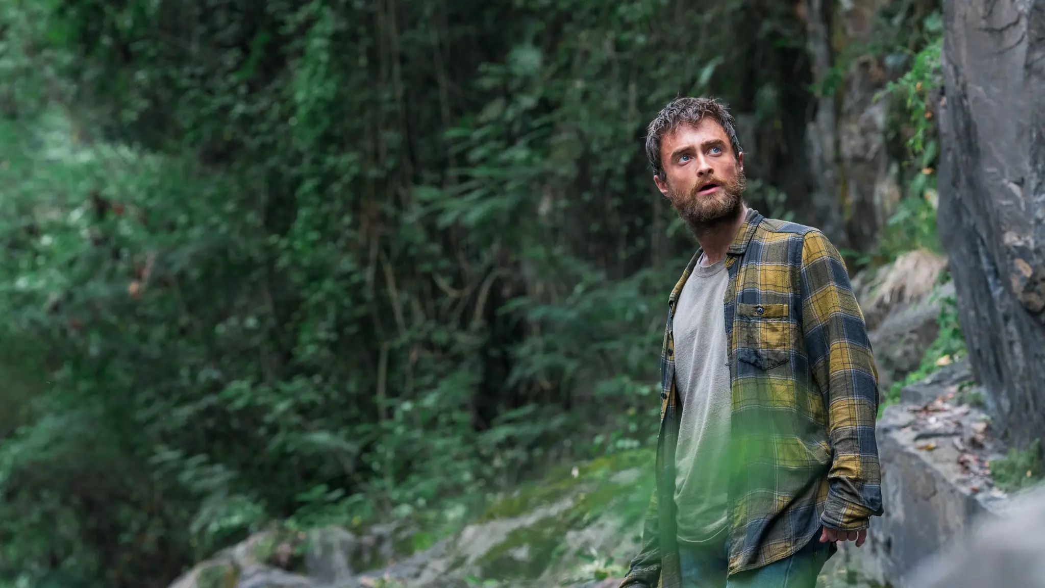 Daniel Radcliffe in the movie Jungle