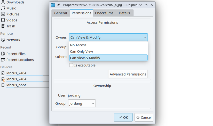 Pretty Dolphin File Manager 5 Hidden Features in KDE Dolphin You Should Know About