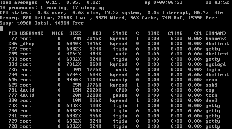 DragonFly BSD running the top command in the console.