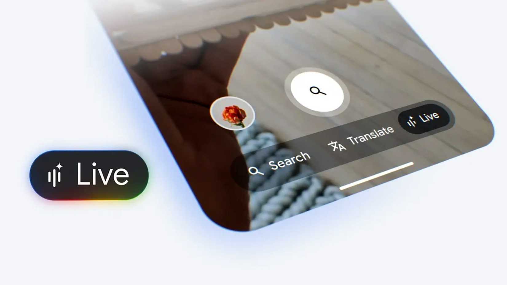 Pesquisa do Googles ao vivo que os programas traduzem a pesquisa e o vivo.