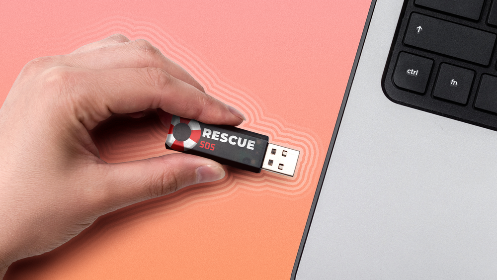 A dedicated rescue drive can save a system when the primary storage fails