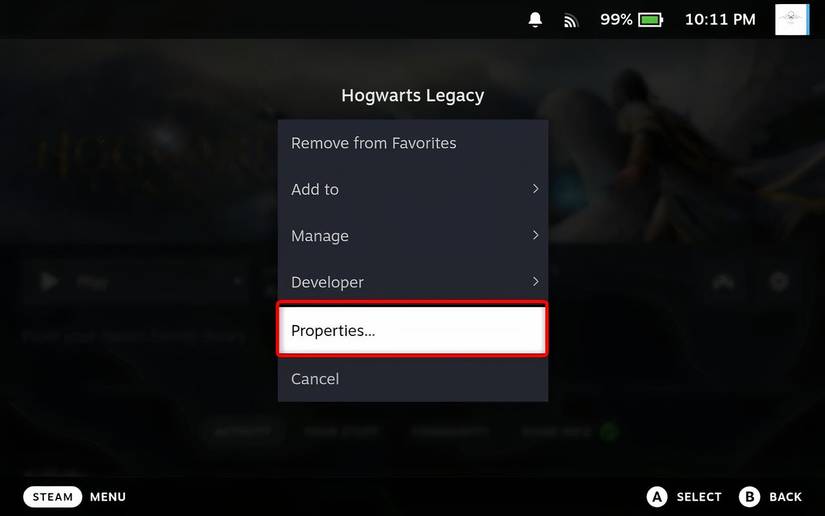 Hogwarts Legacy Steam options menu.