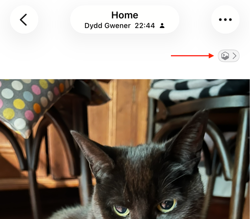 iOS 26 Photos spatialize button.