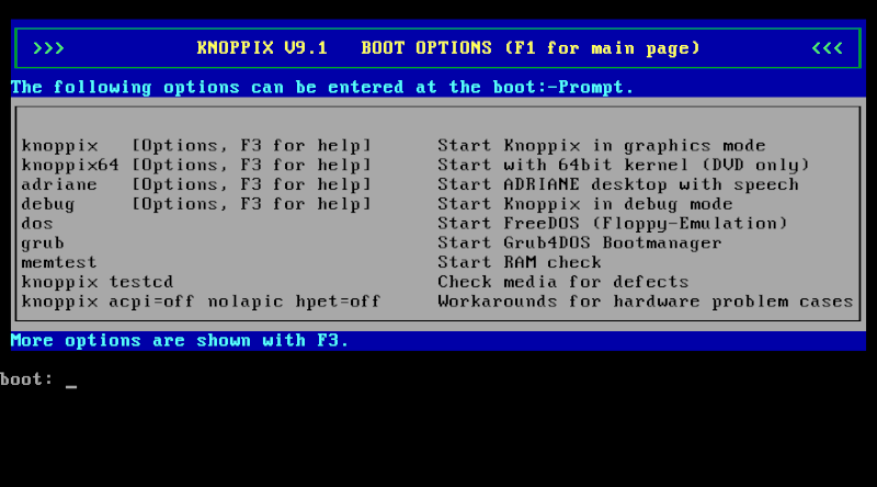 Knoppix 9.1 boot menu with "cheat codes."