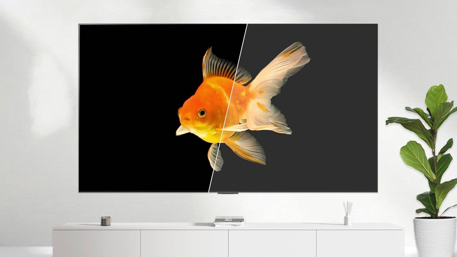 Mini-LED vs. OLED—More Than Just the Battle of Brights and Darks