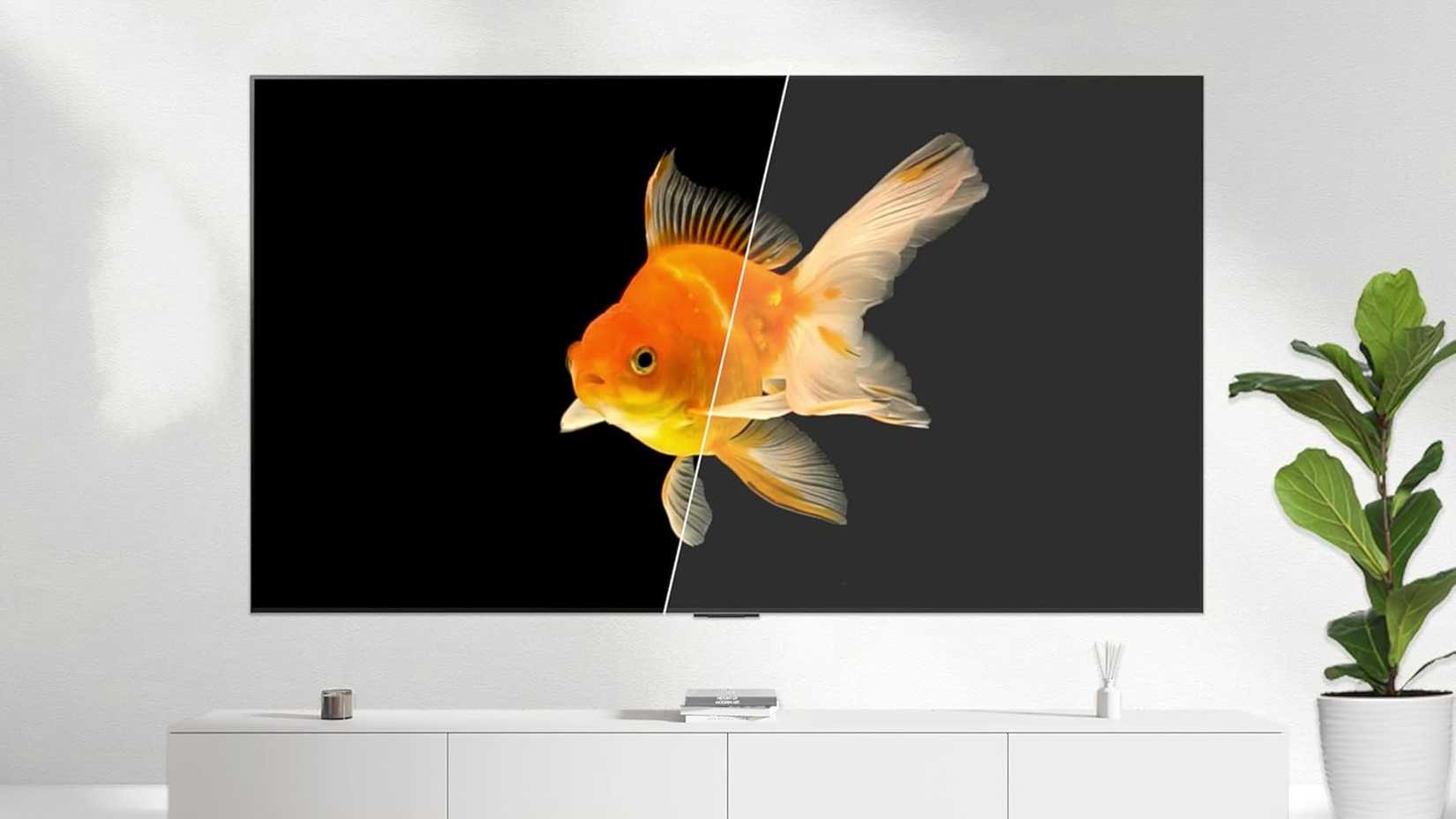 LG OLED evo AI 4K de 65 polegadas mostrando um peixe na televisão em uma sala de estar ao lado de uma planta.