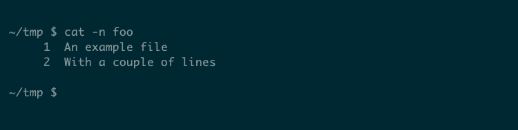 The cat command showing the contents of a file with each line preceded by its number.